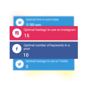 social media insights